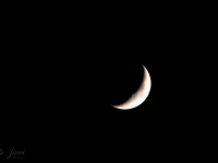 DSC_1044