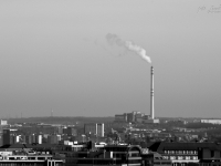 DSC_1715