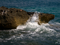 DSC_6012