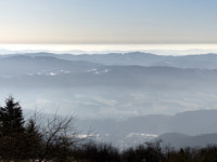 DSC_4626-DSC_4627