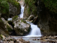 DSC_3325