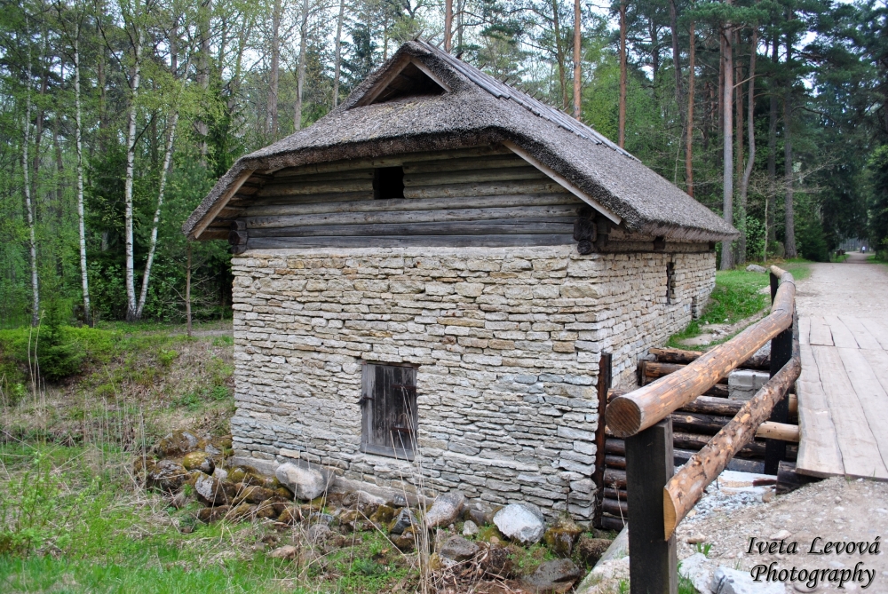 Muzejní den a noc, 18.5.2013